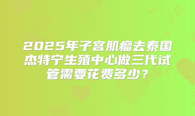 2025年子宫肌瘤去泰国杰特宁生殖中心做三代试管需要花费多少?