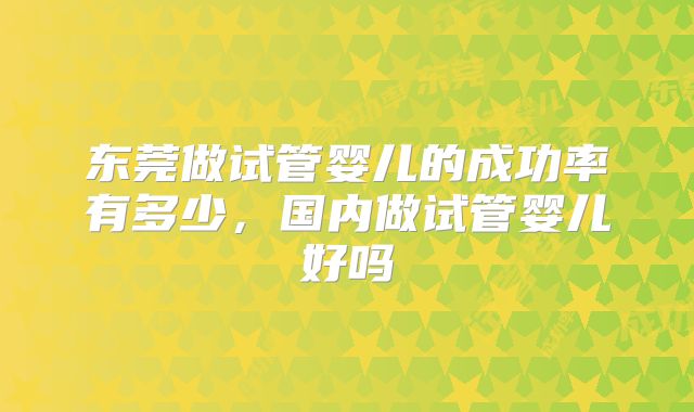 东莞做试管婴儿的成功率有多少,国内做试管婴儿好吗