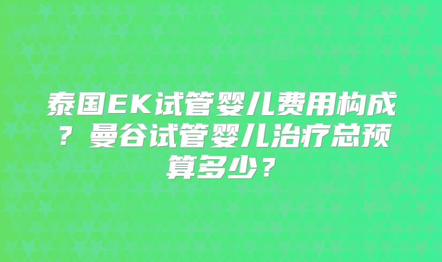 泰国EK试管婴儿费用构成？曼谷试管婴儿治疗总预算多少？