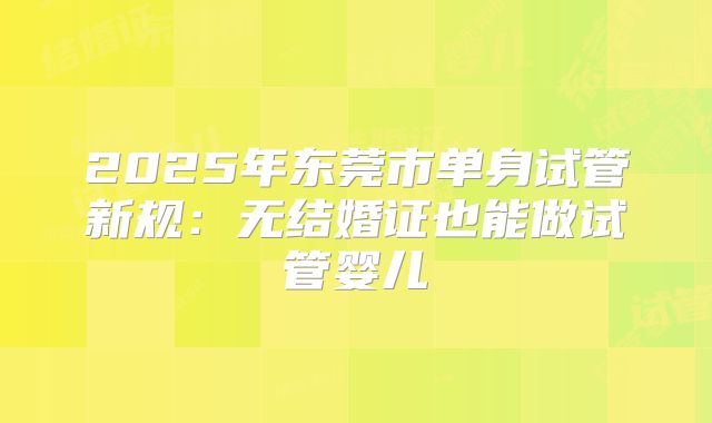 2025年东莞市单身试管新规:无结婚证也能做试管婴儿