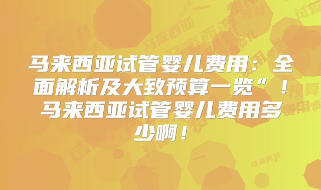 马来西亚试管婴儿费用:全面解析及大致预算一览”!马来西亚试管婴儿费用多少啊!