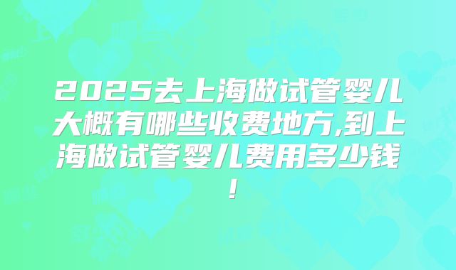 2025去上海做试管婴儿大概有哪些收费地方,到上海做试管婴儿费用多少钱！