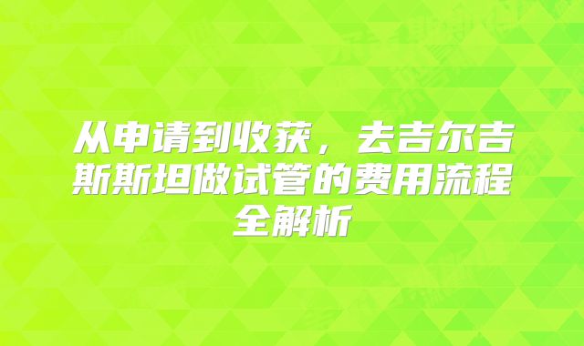 从申请到收获,去吉尔吉斯斯坦做试管的费用流程全解析