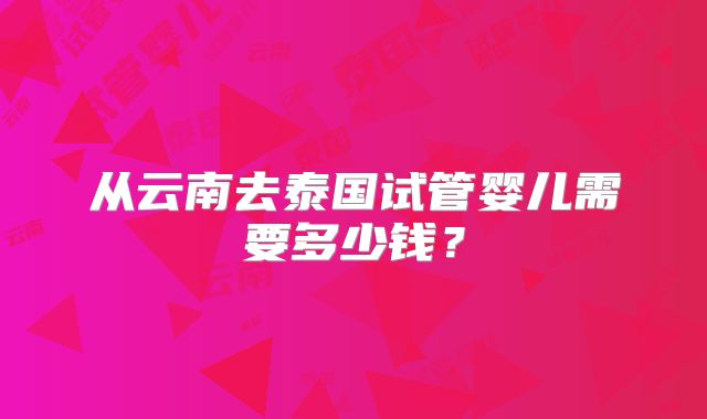 从云南去泰国试管婴儿需要多少钱?