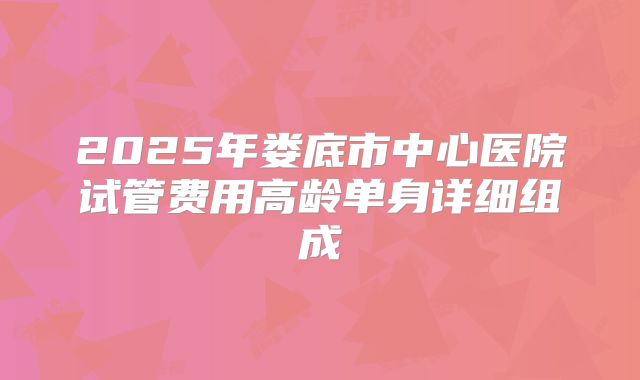 2025年娄底市中心医院试管费用高龄单身详细组成