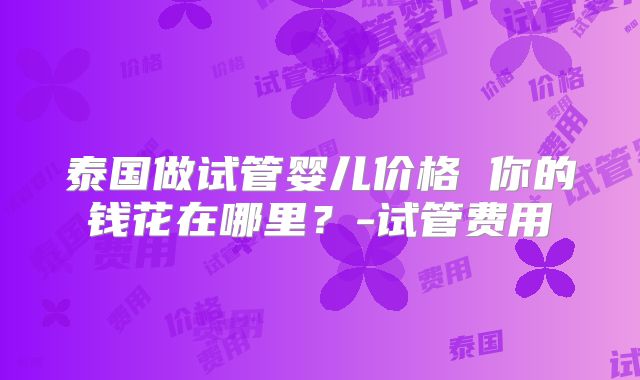 泰国做试管婴儿价格 你的钱花在哪里?-试管费用