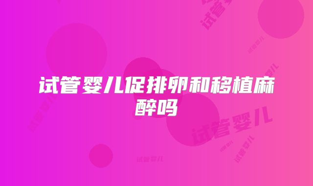 试管婴儿促排卵和移植麻醉吗