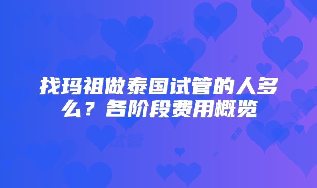 找玛祖做泰国试管的人多么？各阶段费用概览