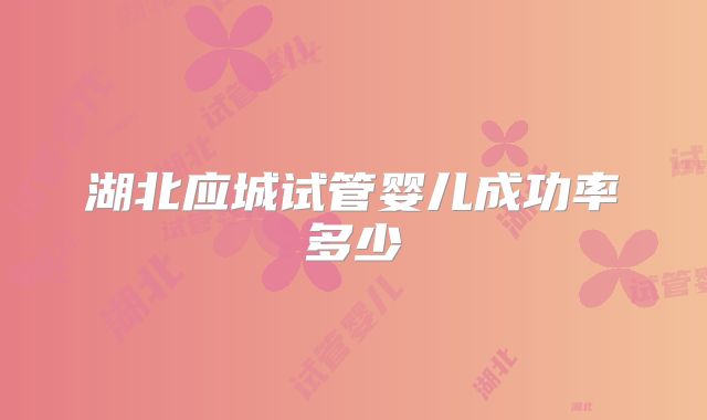 湖北应城试管婴儿成功率多少