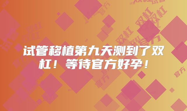 试管移植第九天测到了双杠!等待官方好孕!