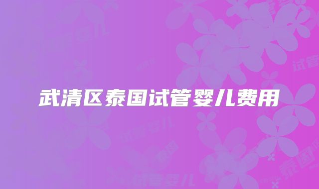 武清区泰国试管婴儿费用
