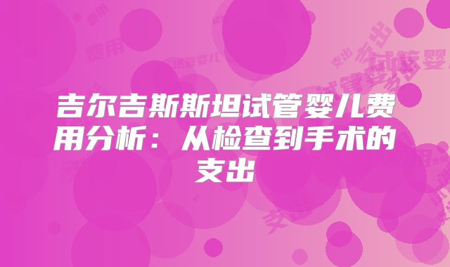 吉尔吉斯斯坦试管婴儿费用分析：从检查到手术的支出