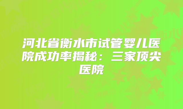 河北省衡水市试管婴儿医院成功率揭秘：三家顶尖医院