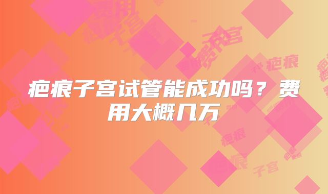疤痕子宫试管能成功吗?费用大概几万