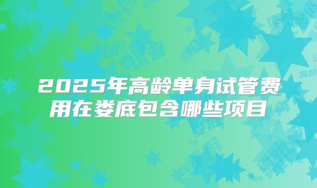 2025年高龄单身试管费用在娄底包含哪些项目