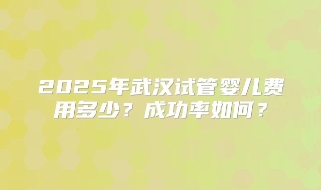 2025年武汉试管婴儿费用多少？成功率如何？
