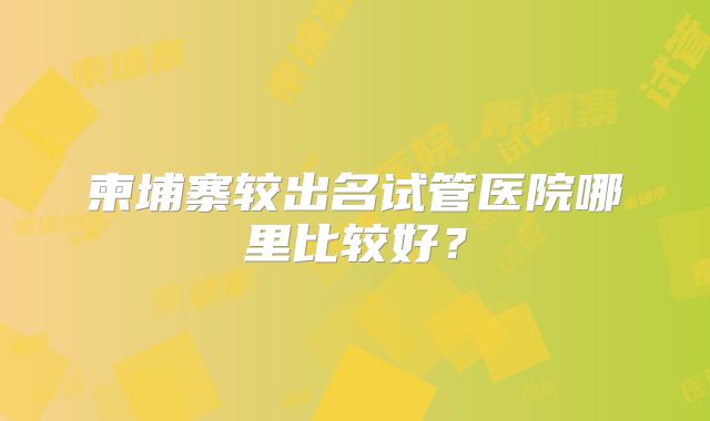 柬埔寨较出名试管医院哪里比较好?