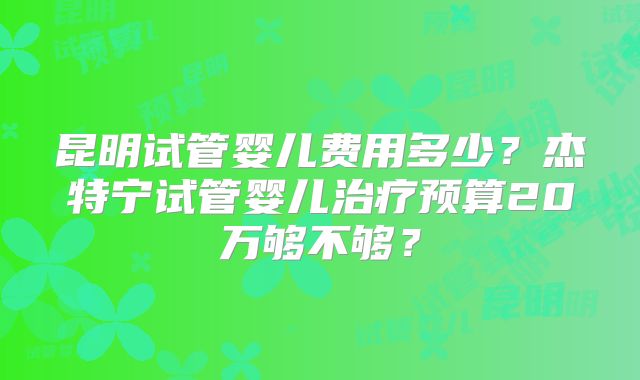 昆明试管婴儿费用多少?杰特宁试管婴儿治疗预算20万够不够?