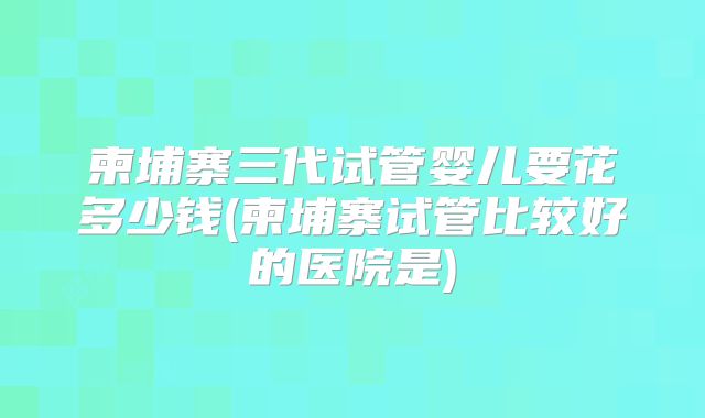 柬埔寨三代试管婴儿要花多少钱(柬埔寨试管比较好的医院是)