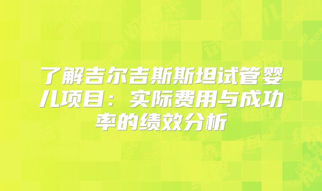 了解吉尔吉斯斯坦试管婴儿项目：实际费用与成功率的绩效分析