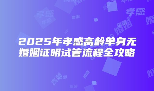 2025年孝感高龄单身无婚姻证明试管流程全攻略