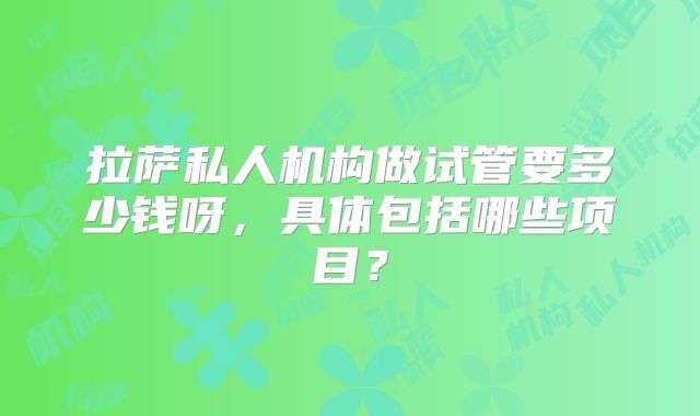 拉萨私人机构做试管要多少钱呀，具体包括哪些项目？