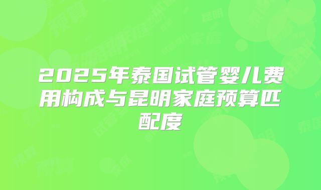 2025年泰国试管婴儿费用构成与昆明家庭预算匹配度