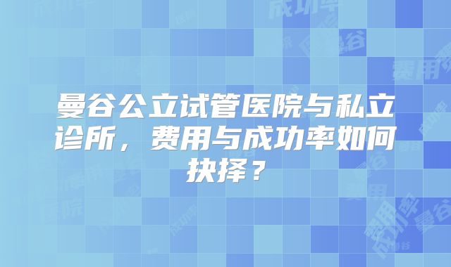 曼谷公立试管医院与私立诊所,费用与成功率如何抉择?