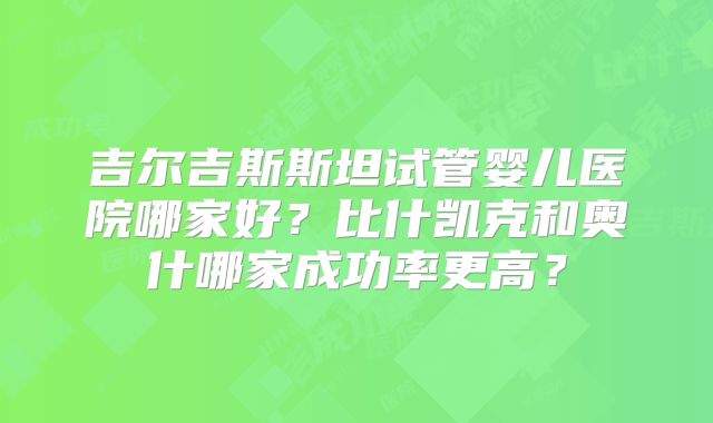 吉尔吉斯斯坦试管婴儿医院哪家好?比什凯克和奥什哪家成功率更高?
