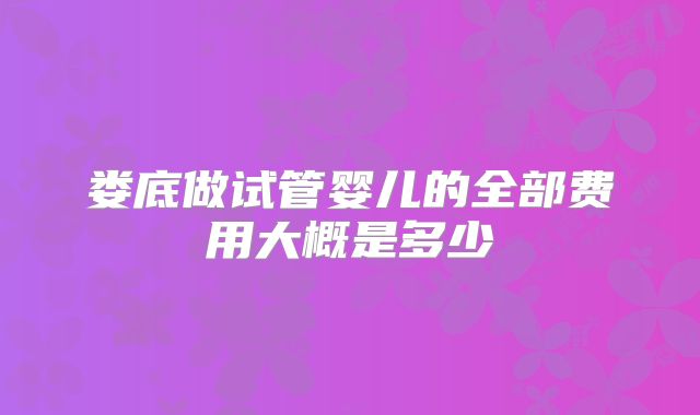 娄底做试管婴儿的全部费用大概是多少