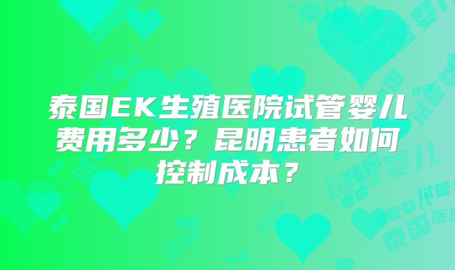泰国EK生殖医院试管婴儿费用多少？昆明患者如何控制成本？