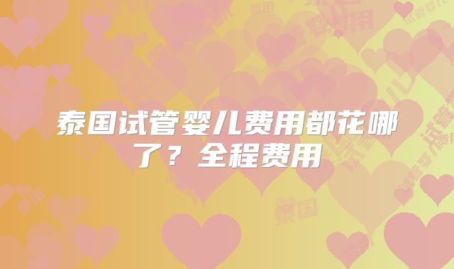 泰国试管婴儿费用都花哪了?全程费用