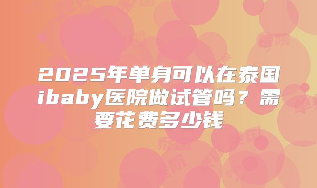 2025年单身可以在泰国ibaby医院做试管吗？需要花费多少钱
