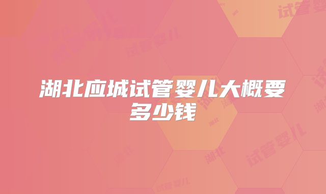 湖北应城试管婴儿大概要多少钱