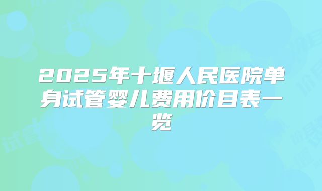 2025年十堰人民医院单身试管婴儿费用价目表一览