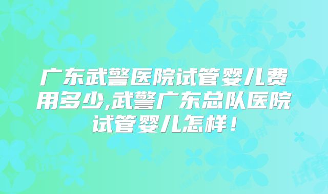 广东武警医院试管婴儿费用多少,武警广东总队医院试管婴儿怎样！
