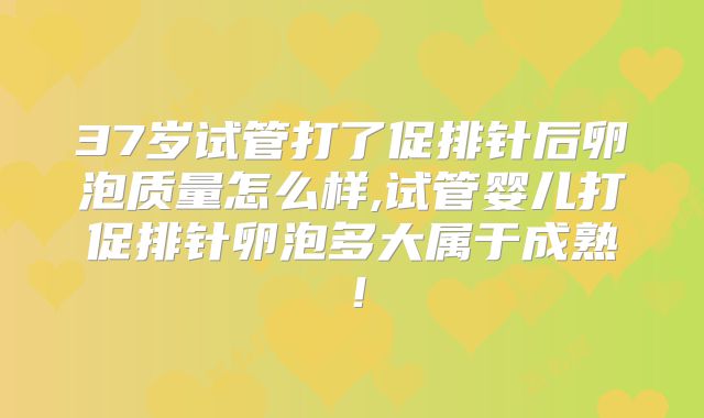 37岁试管打了促排针后卵泡质量怎么样,试管婴儿打促排针卵泡多大属于成熟！