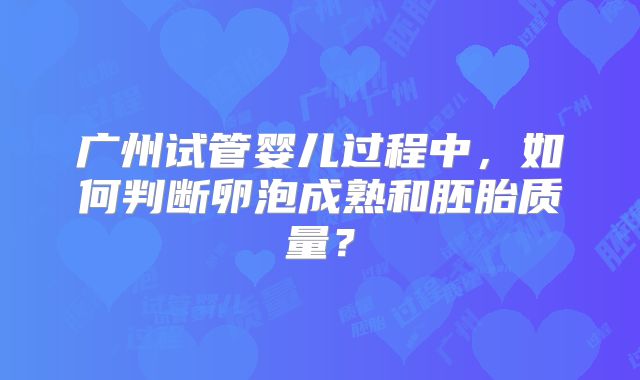 广州试管婴儿过程中，如何判断卵泡成熟和胚胎质量？
