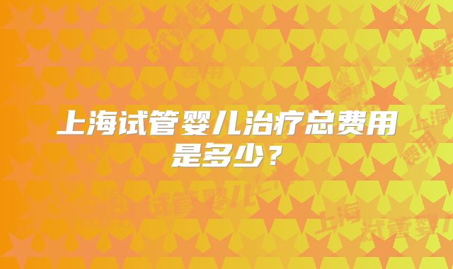 上海试管婴儿治疗总费用是多少？