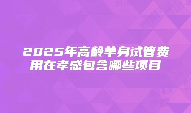 2025年高龄单身试管费用在孝感包含哪些项目