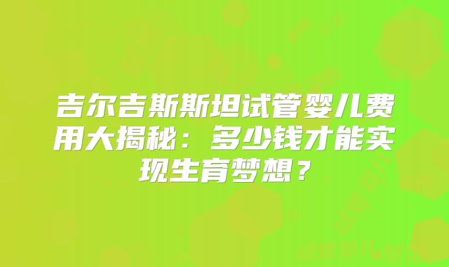 吉尔吉斯斯坦试管婴儿费用大揭秘：多少钱才能实现生育梦想？