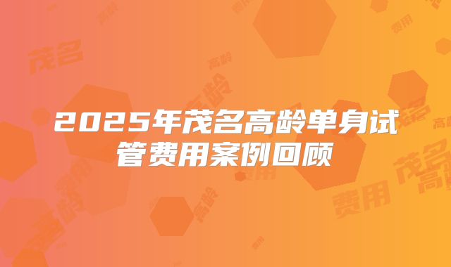 2025年茂名高龄单身试管费用案例回顾