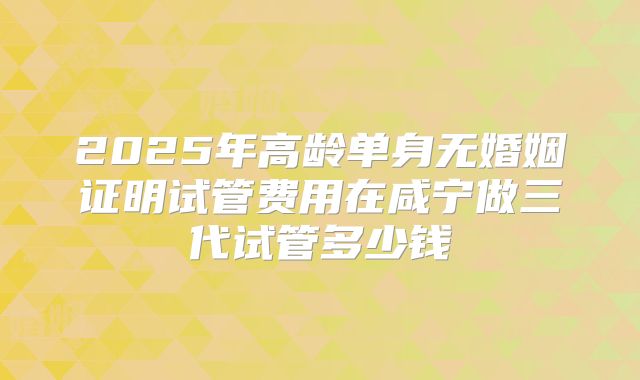 2025年高龄单身无婚姻证明试管费用在咸宁做三代试管多少钱