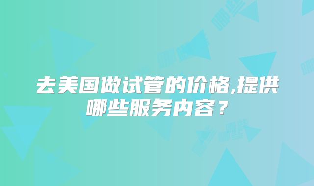 去美国做试管的价格,提供哪些服务内容?