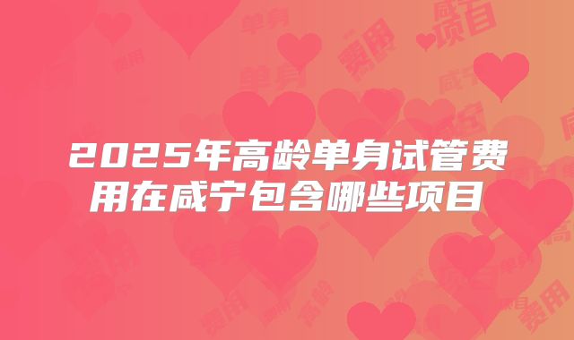 2025年高龄单身试管费用在咸宁包含哪些项目