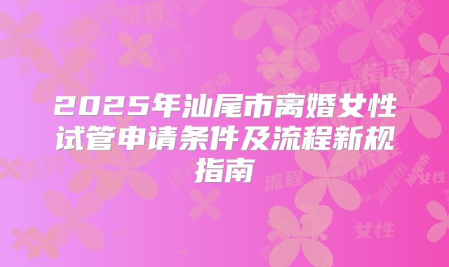 2025年汕尾市离婚女性试管申请条件及流程新规指南