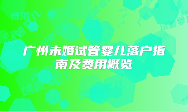 广州未婚试管婴儿落户指南及费用概览
