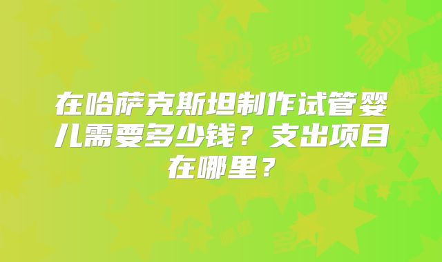 在哈萨克斯坦制作试管婴儿需要多少钱？支出项目在哪里？