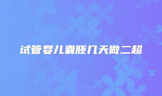 试管婴儿囊胚几天做二超