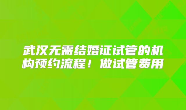 武汉无需结婚证试管的机构预约流程!做试管费用